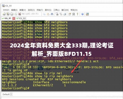 2024全年资料免费大全333期,理论考证解析_界面版BFD11.15