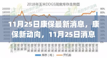 康保新动向，11月25日深度解析与消息回顾