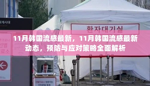 11月韩国流感最新动态及预防与应对策略全面解析