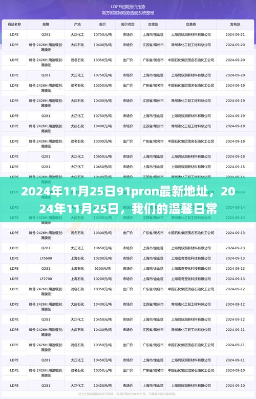 2024年11月25日91pron最新地址，2024年11月25日，我们的温馨日常