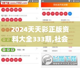 2024天天彩正版资料大全333期,社会承担实践战略_套件版ZBM11.14