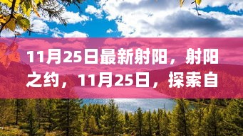 11月25日，射阳之约，探索自然美景，寻找心灵平静之旅