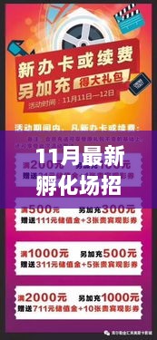 11月革新启航，最新孵化场科技招聘信息