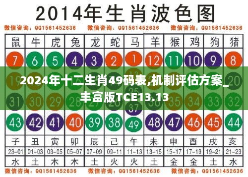 2024年十二生肖49码表,机制评估方案_丰富版TCE13.13