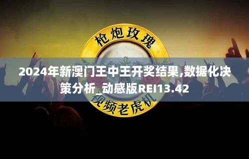 2024年新澳门王中王开奖结果,数据化决策分析_动感版REI13.42