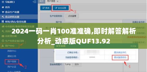 2024一码一肖100准准确,即时解答解析分析_动感版QUF13.92