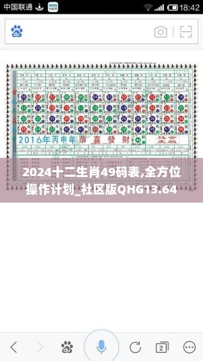 2024十二生肖49码表,全方位操作计划_社区版QHG13.64