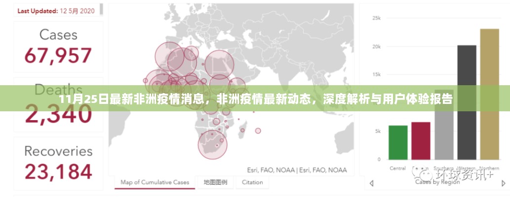 11月25日非洲疫情深度解析与用户体验报告，最新动态及影响解析