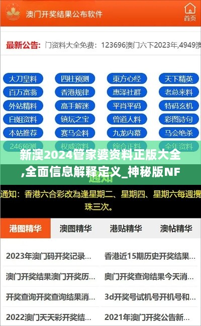 新澳2024管家婆资料正版大全,全面信息解释定义_神秘版NFV13.93