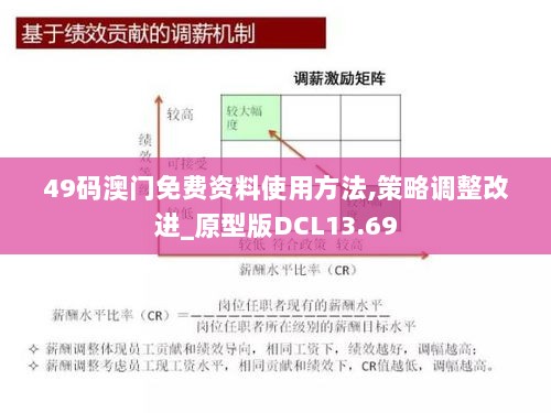 49码澳门免费资料使用方法,策略调整改进_原型版DCL13.69