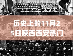 历史上的11月25日，陕西西安热门杀人案深度分析与思考