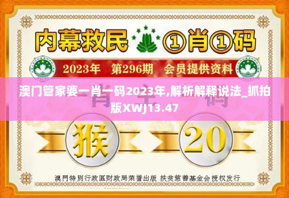 澳门管家婆一肖一码2023年,解析解释说法_抓拍版XWJ13.47