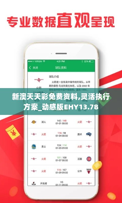 新澳天天彩免费资料,灵活执行方案_动感版EHY13.78