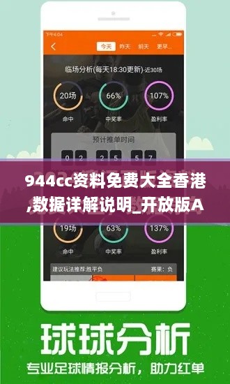 944cc资料免费大全香港,数据详解说明_开放版AYH13.23