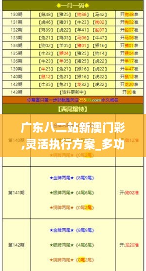 广东八二站新澳门彩,灵活执行方案_多功能版IVG13.66