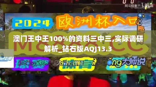 澳门王中王100%的资料三中三,实际调研解析_钻石版AQJ13.3