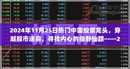 2024年11月25日热门中国股票龙头之旅，穿越迷雾寻找绿野仙踪的探索之旅
