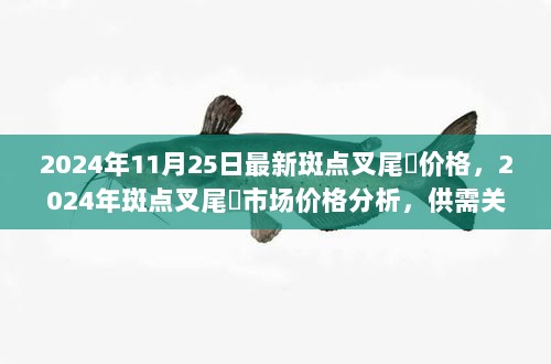 2024年斑点叉尾鮰市场价格动态与供需关系展望