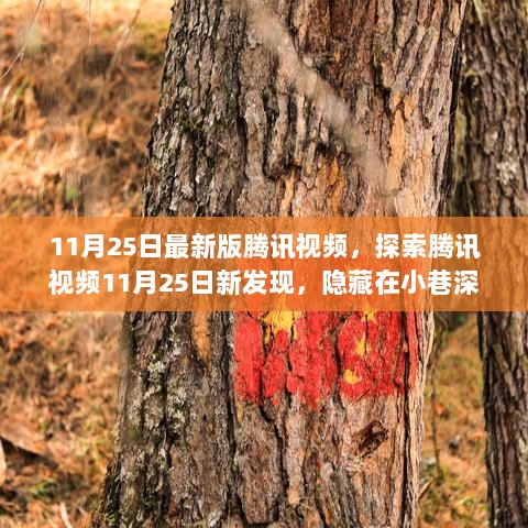 腾讯视频11月25日新发现，光影秘境——隐藏在小巷深处的特色小店探索之旅