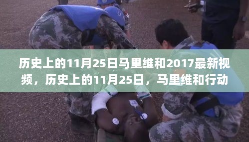 历史上的11月25日，马里维和行动的2017最新视频解析与深度思考