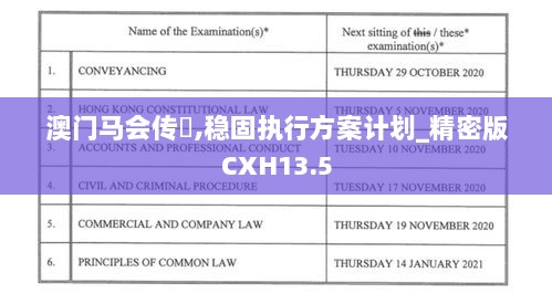 澳门马会传傎,稳固执行方案计划_精密版CXH13.5