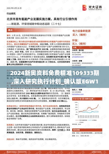 2024新奥资料免费精准109333期,深入研究执行计划_确认版EGW11.38