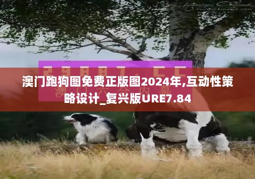 澳门跑狗图免费正版图2024年,互动性策略设计_复兴版URE7.84