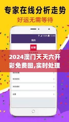 2024澳门天天六开彩免费图,实时处理解答计划_通行证版ETY7.91