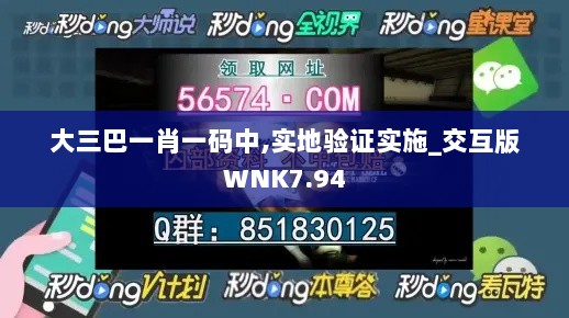 大三巴一肖一码中,实地验证实施_交互版WNK7.94