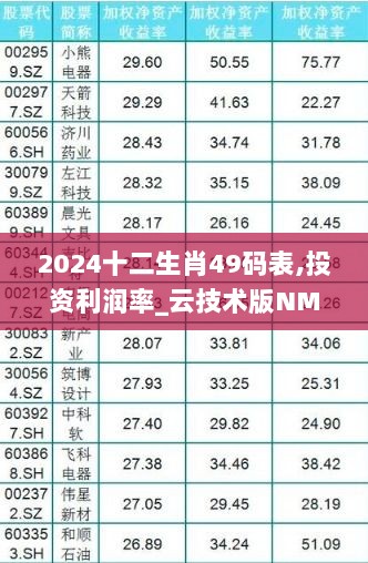 2024十二生肖49码表,投资利润率_云技术版NMK7.80