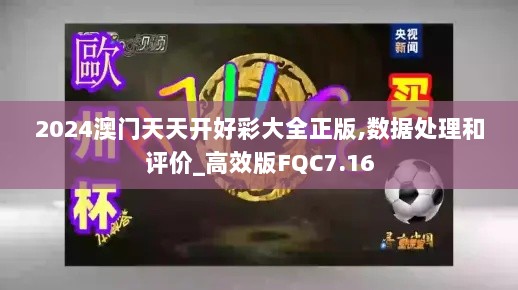 2024澳门天天开好彩大全正版,数据处理和评价_高效版FQC7.16