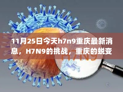 11月25日H7N9疫情下的重庆，蜕变与自信的种子