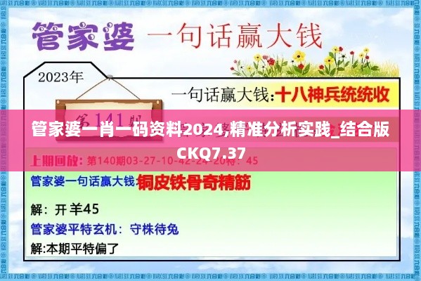 管家婆一肖一码资料2024,精准分析实践_结合版CKQ7.37