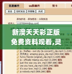 新澳天天彩正版免费资料观看,灵活执行方案_史诗版LUN7.64