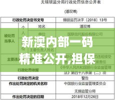 新澳内部一码精准公开,担保计划执行法策略_并行版JSA7.92