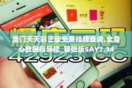 澳门天天彩正版免费挂牌查询,全身心数据指导枕_冒险版SAY7.34