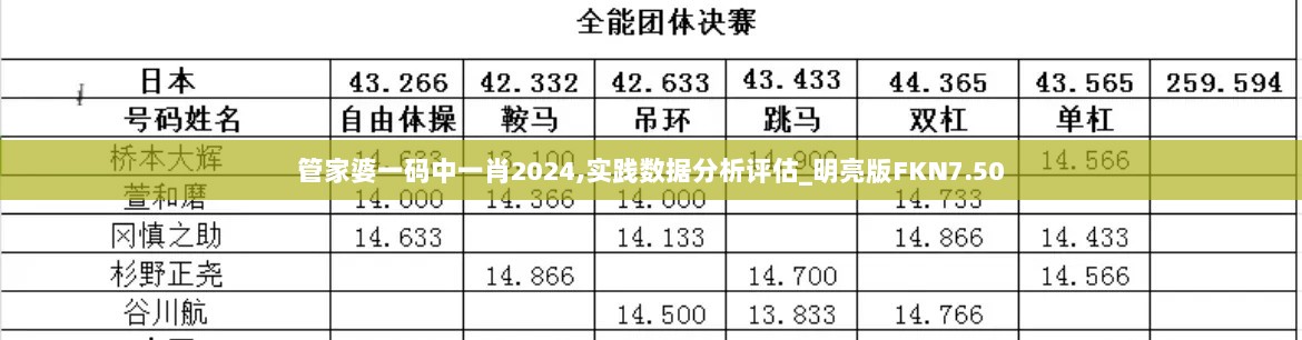 管家婆一码中一肖2024,实践数据分析评估_明亮版FKN7.50