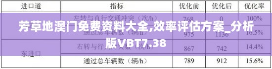 芳草地澳门免费资料大全,效率评估方案_分析版VBT7.38