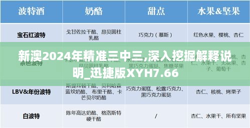 新澳2024年精准三中三,深入挖掘解释说明_迅捷版XYH7.66