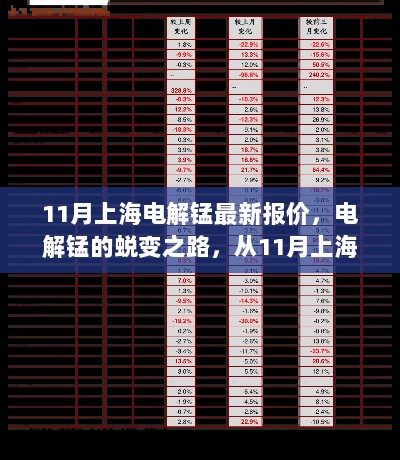 11月上海电解锰最新报价，自信与成就的火花在蜕变之路中闪耀