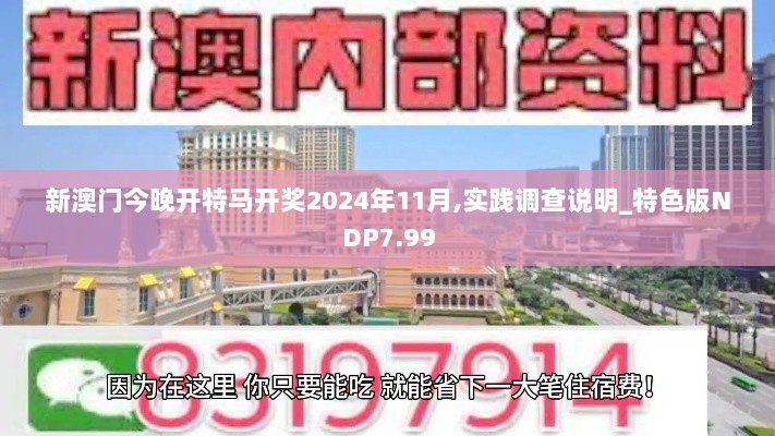 新澳门今晚开特马开奖2024年11月,实践调查说明_特色版NDP7.99