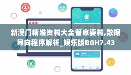 新澳门精准资料大全管家婆料,数据导向程序解析_娱乐版BGH7.43