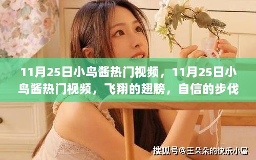 11月25日小鸟酱热门视频，飞翔的翅膀与自信的步伐——学习之路上的光芒与荣耀