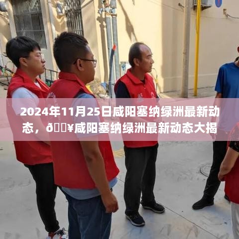 咸阳塞纳绿洲最新动态大揭秘！2024年11月25日更新版