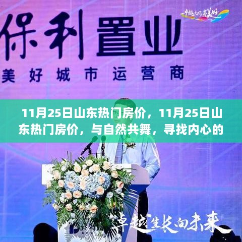 11月25日山东热门房价，与自然共舞，寻找内心平静的居住选择