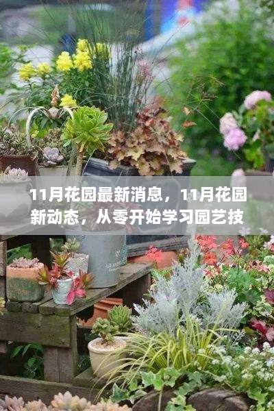 11月花园新动态，从零开始学习园艺技能步骤指南