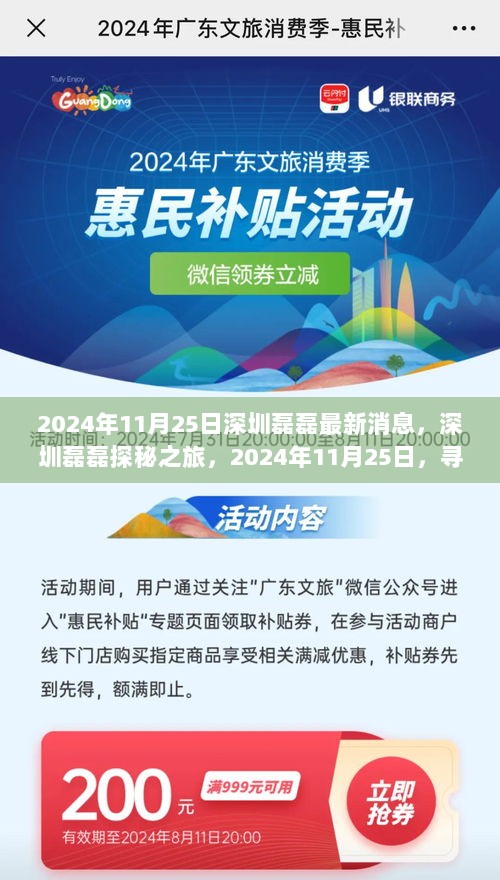 2024年深圳磊磊探秘之旅，寻找内心的宁静与自然之美新消息