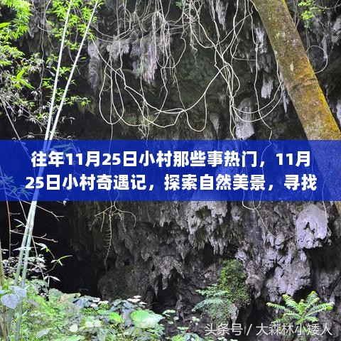 11月25日小村奇遇记，探索自然美景，追寻内心平静的旅程