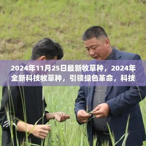 2024年科技引领绿色革命，全新牧草种子的种植与自然共生融合的奇迹