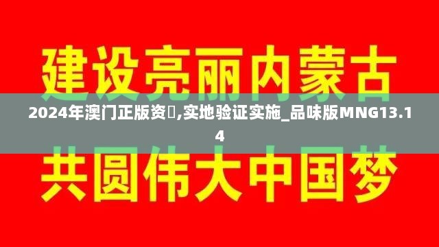 2024年澳门正版资枓,实地验证实施_品味版MNG13.14